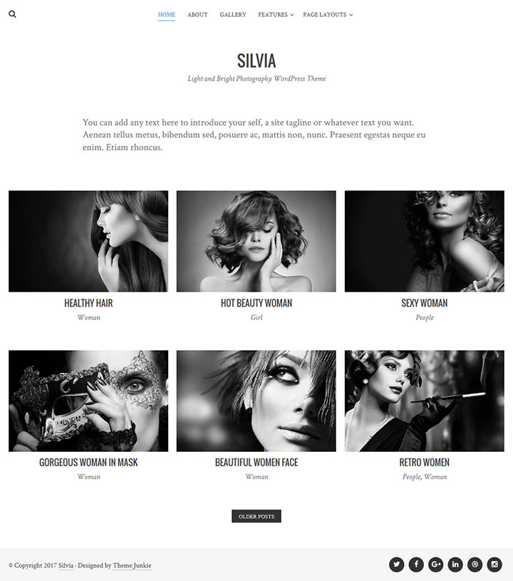 WordPress шаблон Theme Junkie Silvia