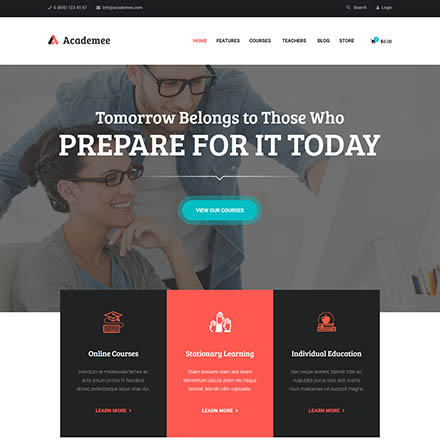 ThemeForest Academee