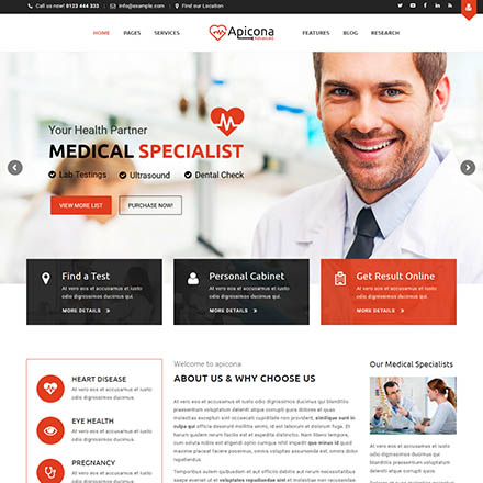 ThemeForest Apicona