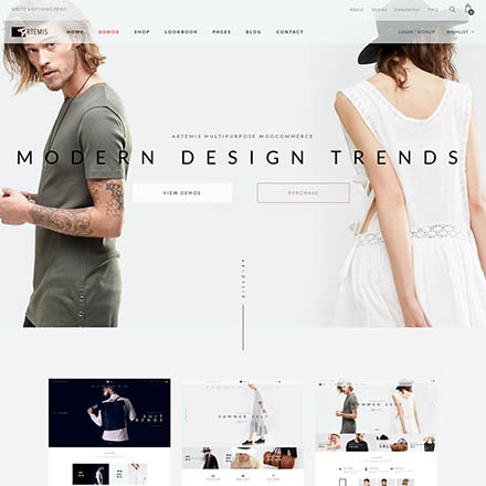 ThemeForest Artemis