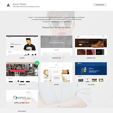 ThemeForest Aurum