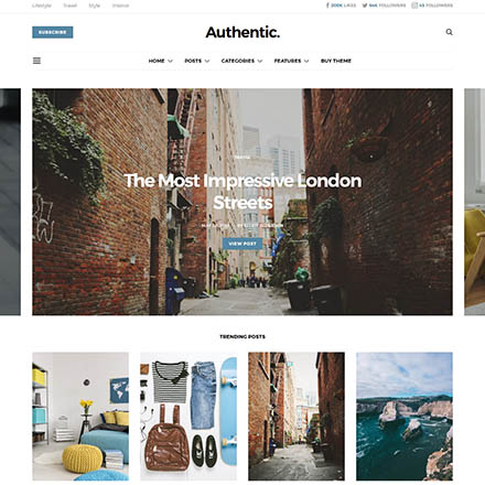 ThemeForest Authentic