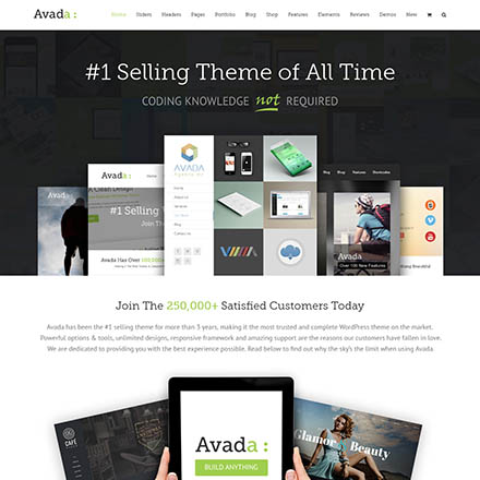 ThemeForest Avada