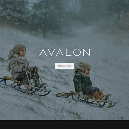 ThemeForest Avalon