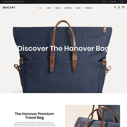 ThemeForest Bigcart