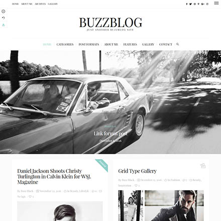 ThemeForest BuzzBlog
