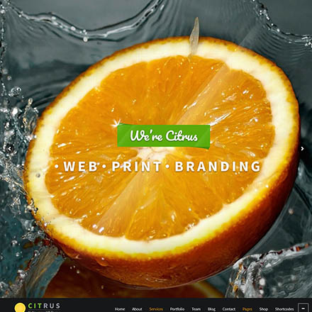 ThemeForest Citrus