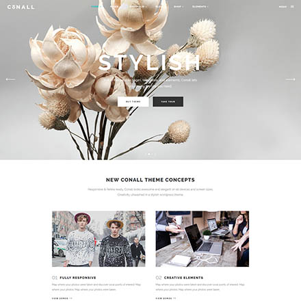 ThemeForest Conall