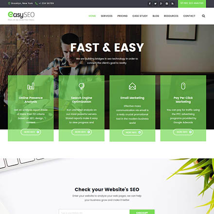 ThemeForest EasyWeb