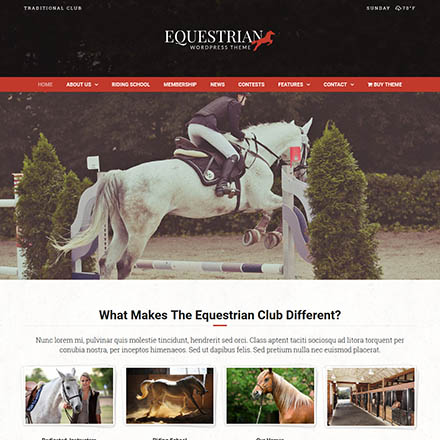 ThemeForest Equestrian