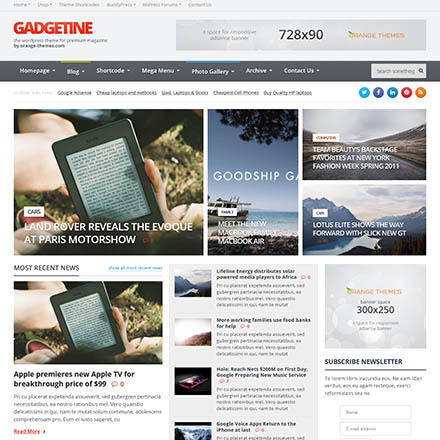 ThemeForest Gadgetine