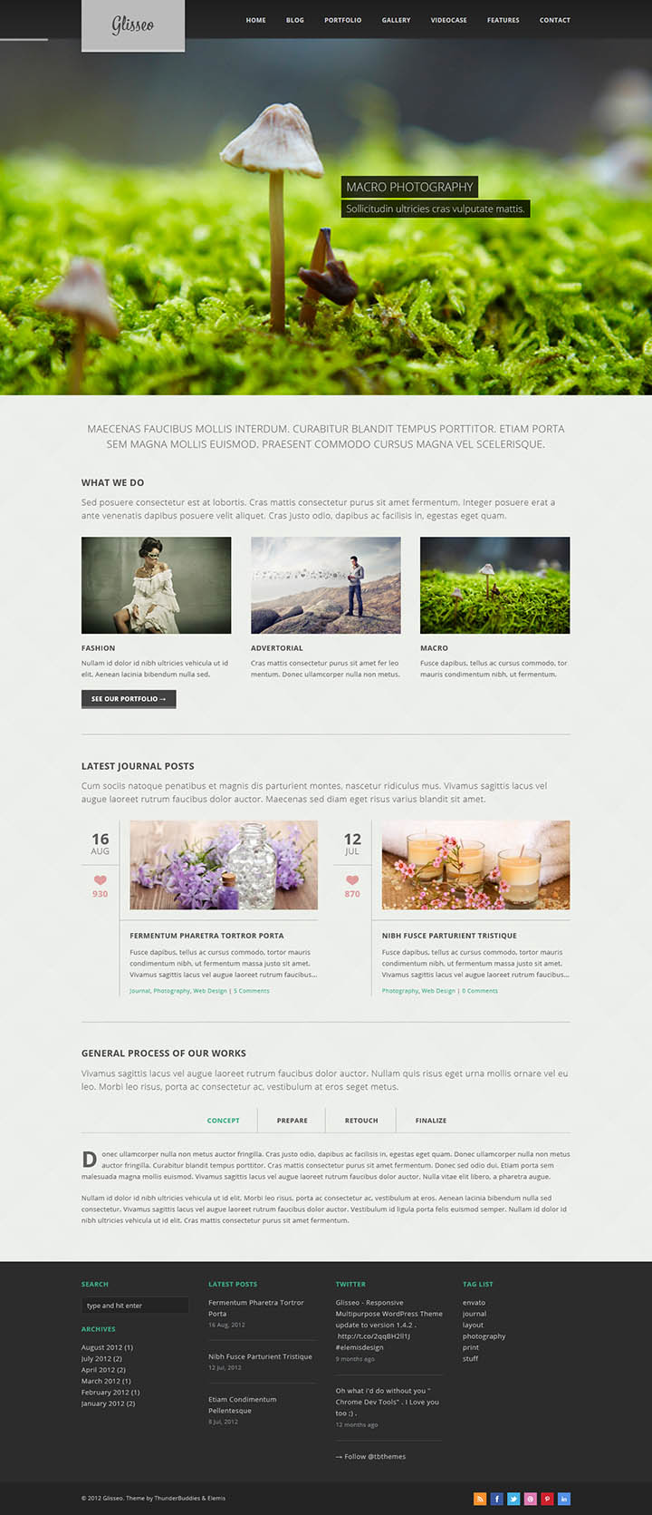 WordPress шаблон ThemeForest Glisseo