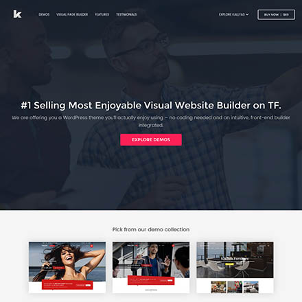 ThemeForest Kallyas