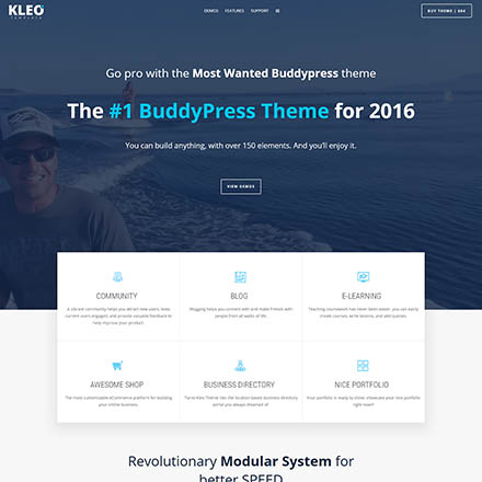 ThemeForest Kleo