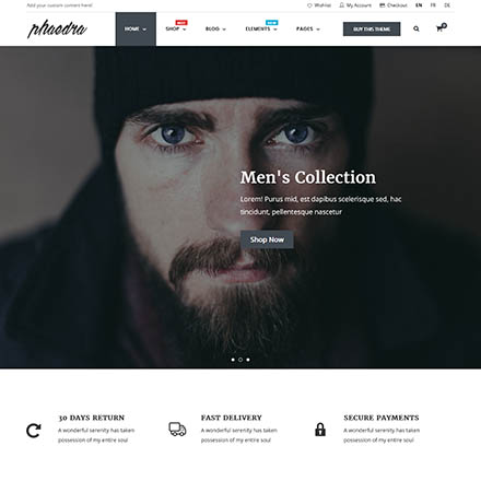 ThemeForest Phaedra