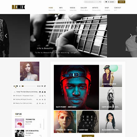 ThemeForest Remix