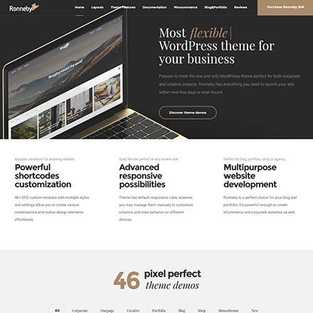 ThemeForest Ronneby