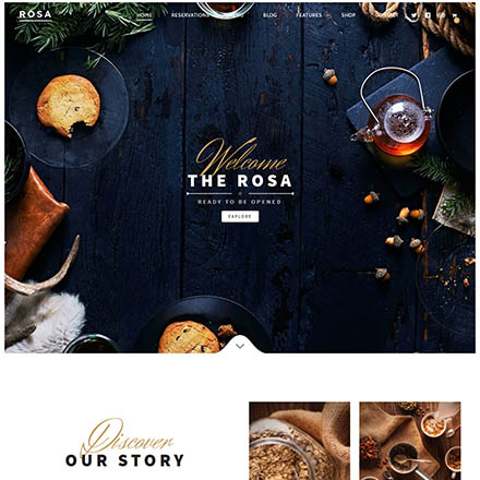 ThemeForest ROSA