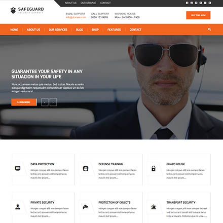 ThemeForest Safeguard