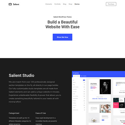 ThemeForest Salient