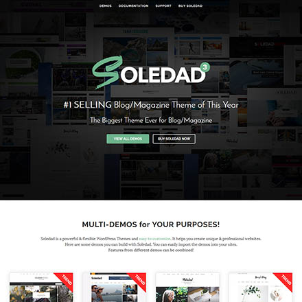 ThemeForest Soledad