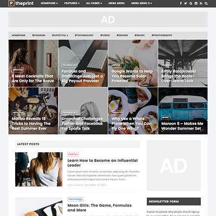 ThemeForest The Print