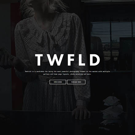 ThemeForest TwoFold