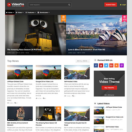 ThemeForest VideoPro