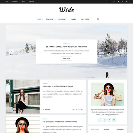 ThemeForest Wide