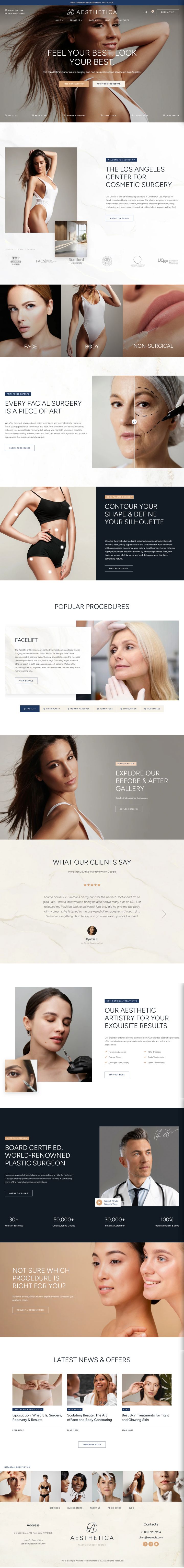 WordPress шаблон ThemeForest Aesthetica