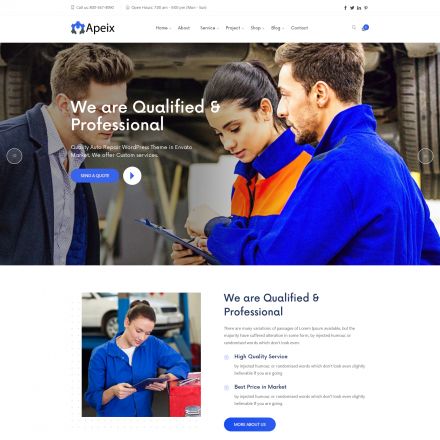 ThemeForest Apeix