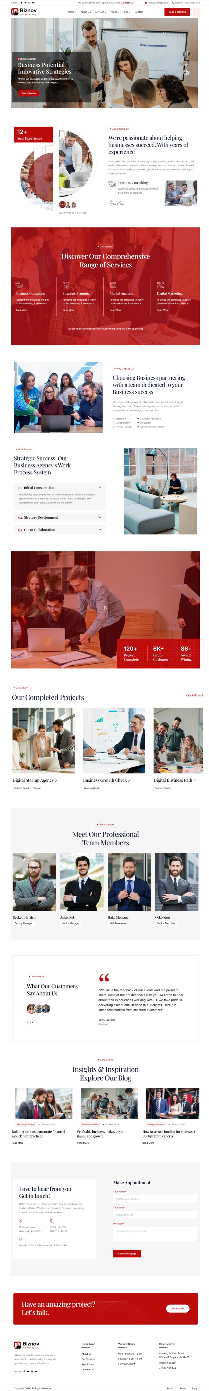 WordPress шаблон ThemeForest Biznov