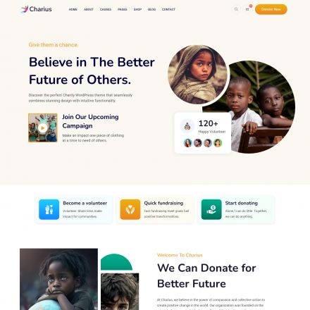 ThemeForest Charius