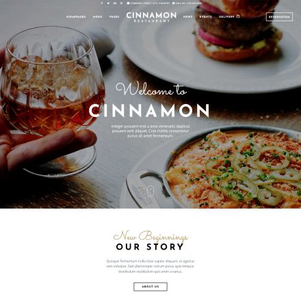 ThemeForest Cinnamon