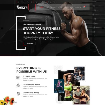 ThemeForest DailyFit