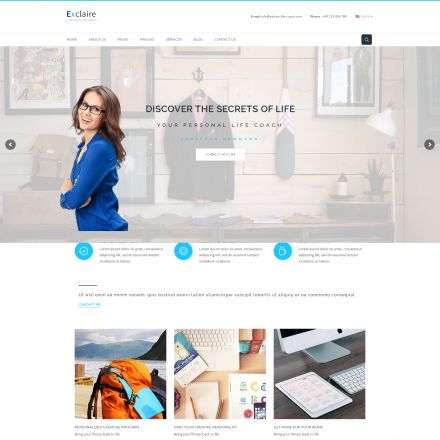 ThemeForest Exclaire