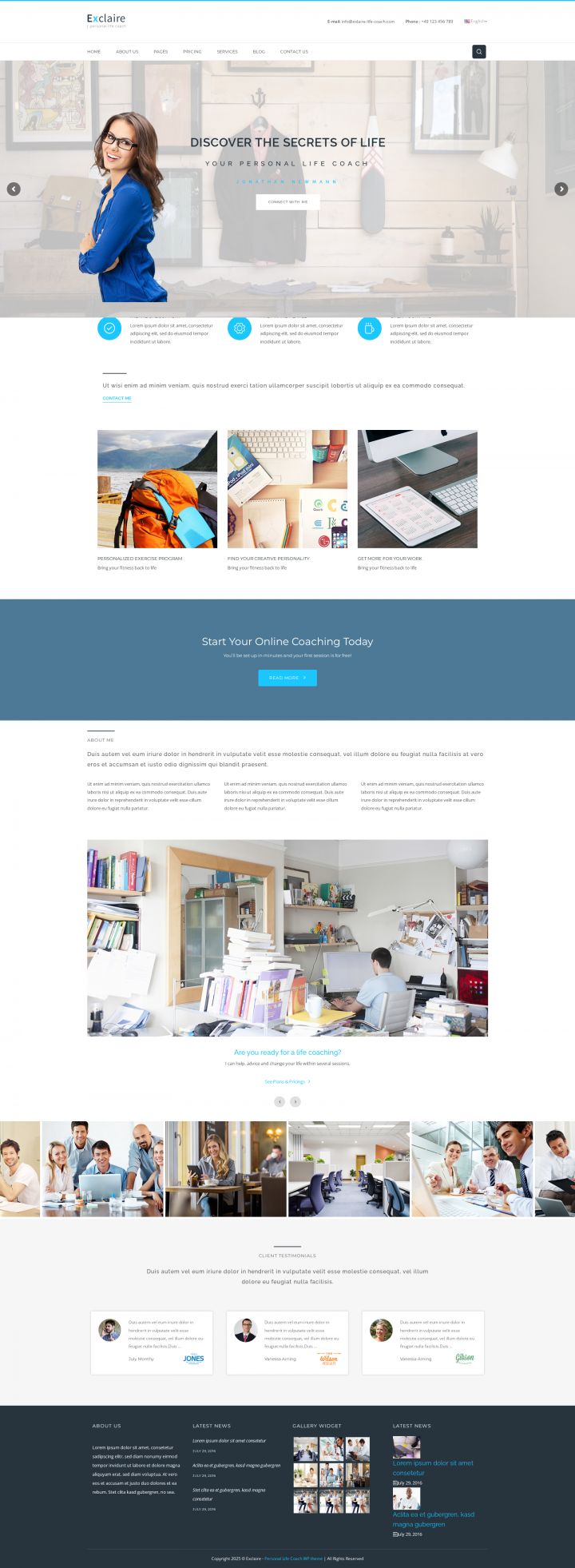 WordPress шаблон ThemeForest Exclaire