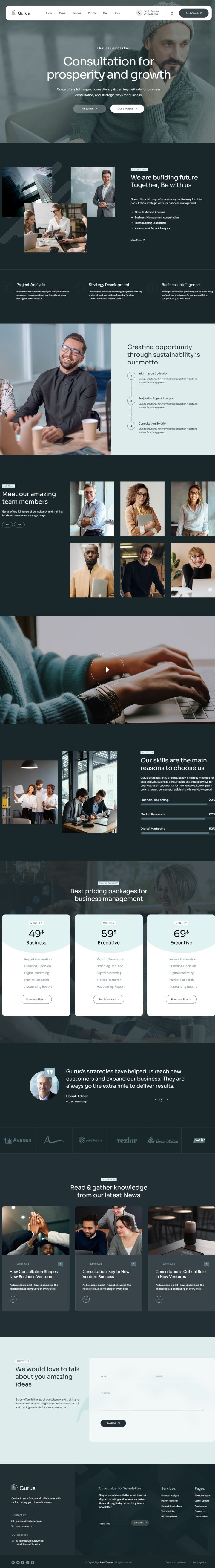 WordPress шаблон ThemeForest Gurus