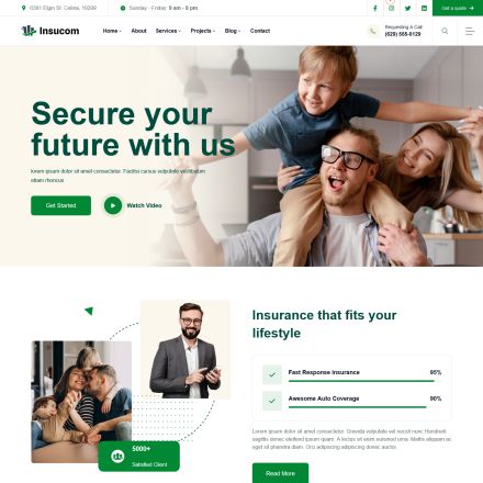 ThemeForest Insucom