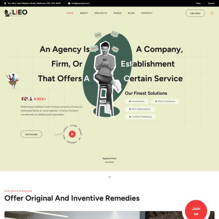 ThemeForest LIEO