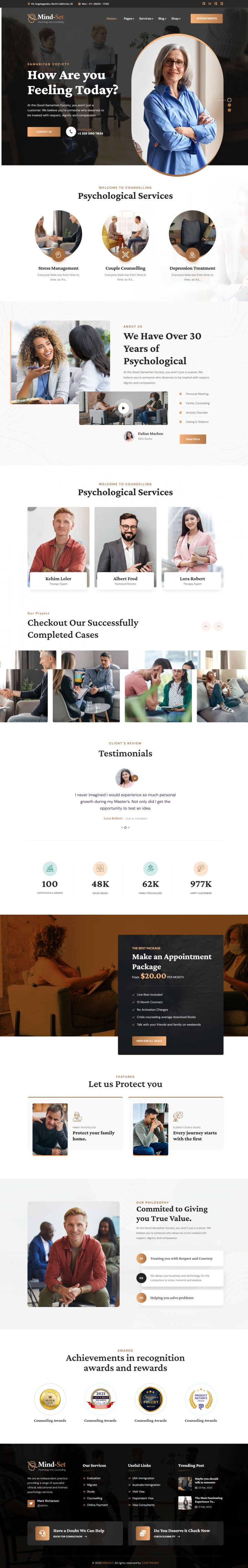 WordPress шаблон ThemeForest Mindset