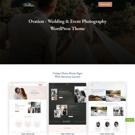 ThemeForest Ovation