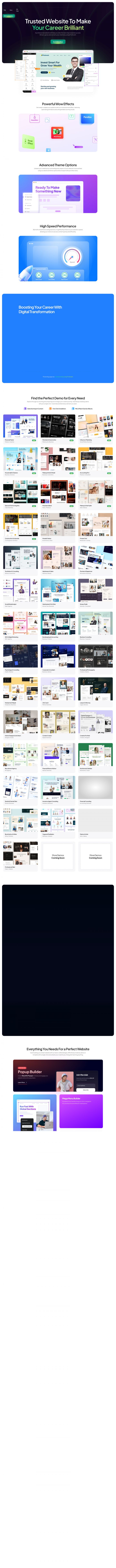 WordPress шаблон ThemeForest Profecient