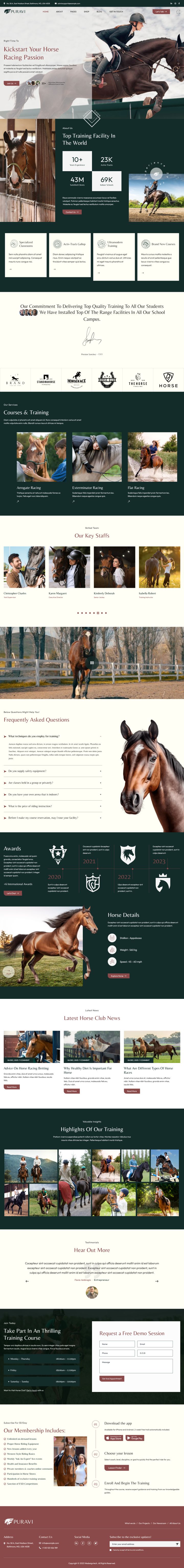 WordPress шаблон ThemeForest Puravi