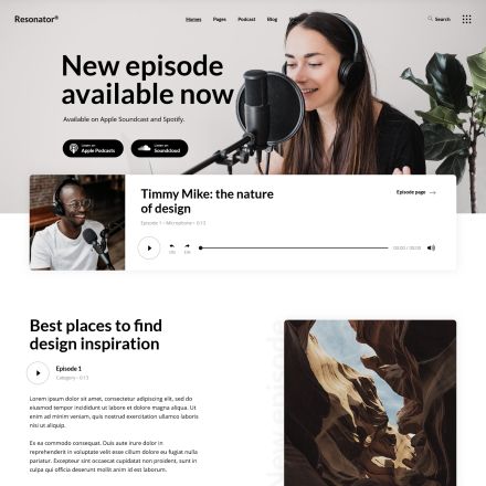 ThemeForest Resonator