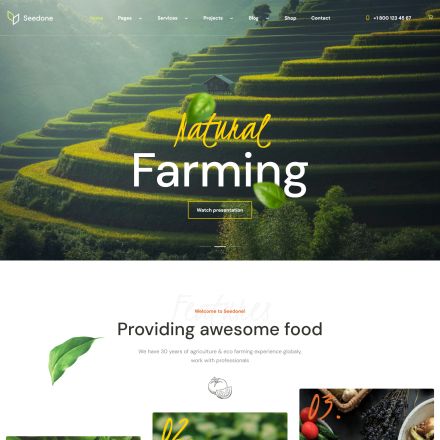 ThemeForest SeedOne