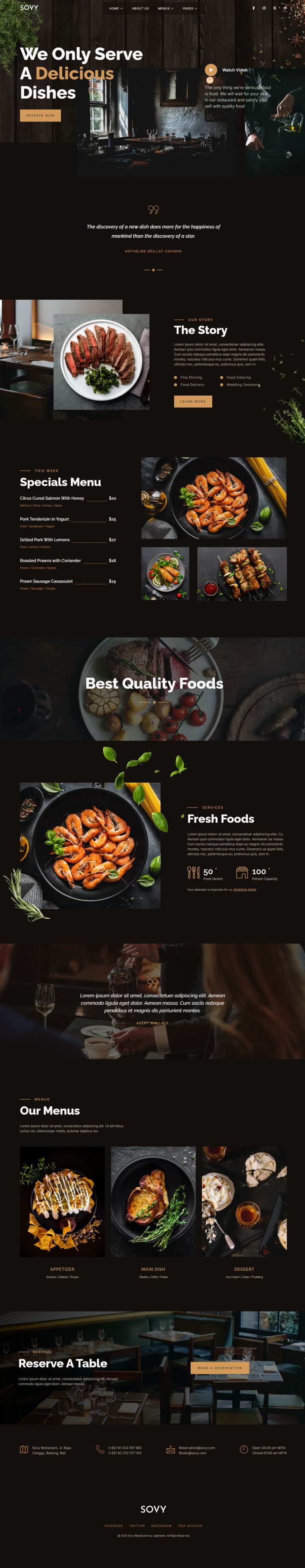 WordPress шаблон ThemeForest Sovy
