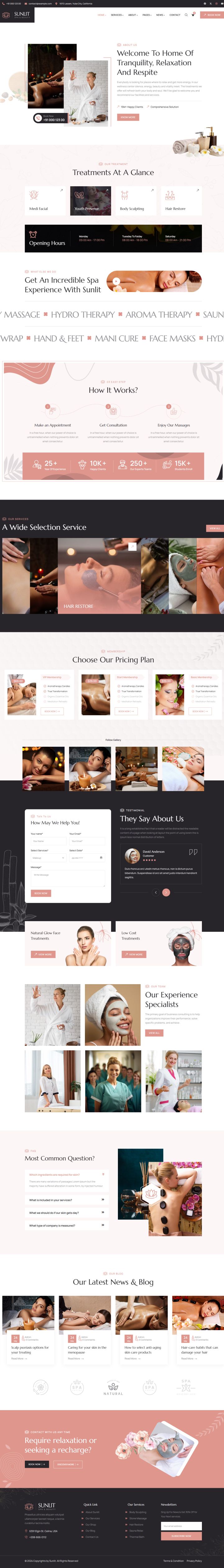 WordPress шаблон ThemeForest Sunlit