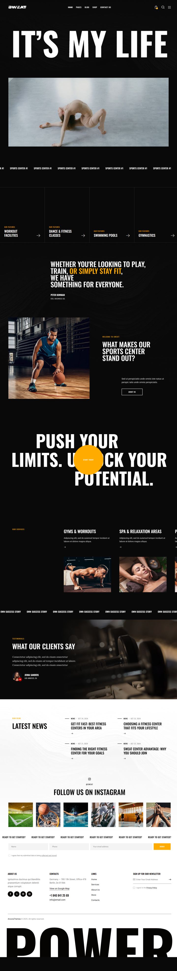WordPress шаблон ThemeForest Sweat