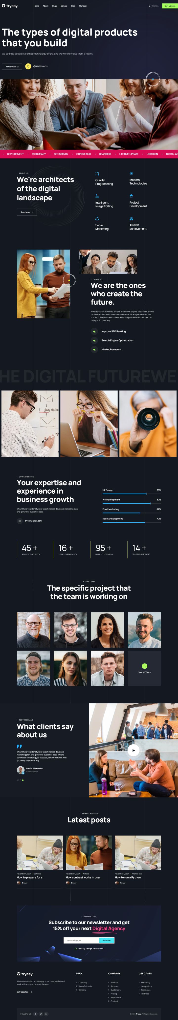 WordPress шаблон ThemeForest Tryesy